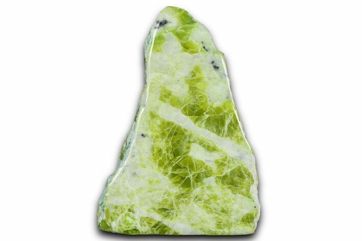 Free-Standing Polished Noble Serpentine - Washington #367388